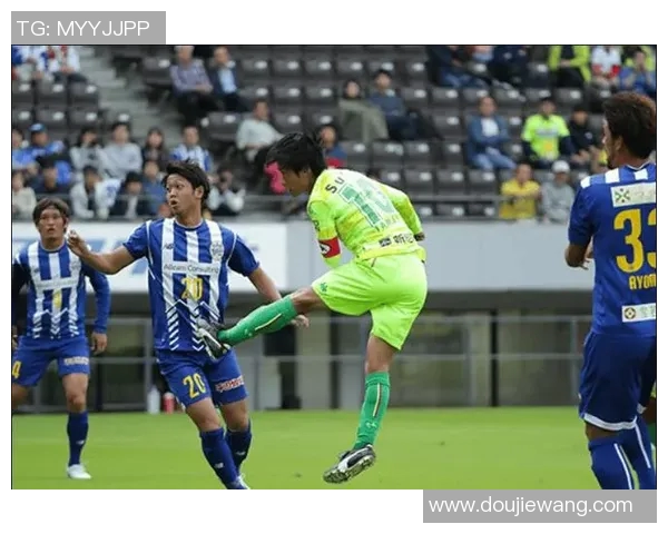 京都不死鸟对阵福冈黄蜂精彩赛事回顾与分析尽在搜狐体育